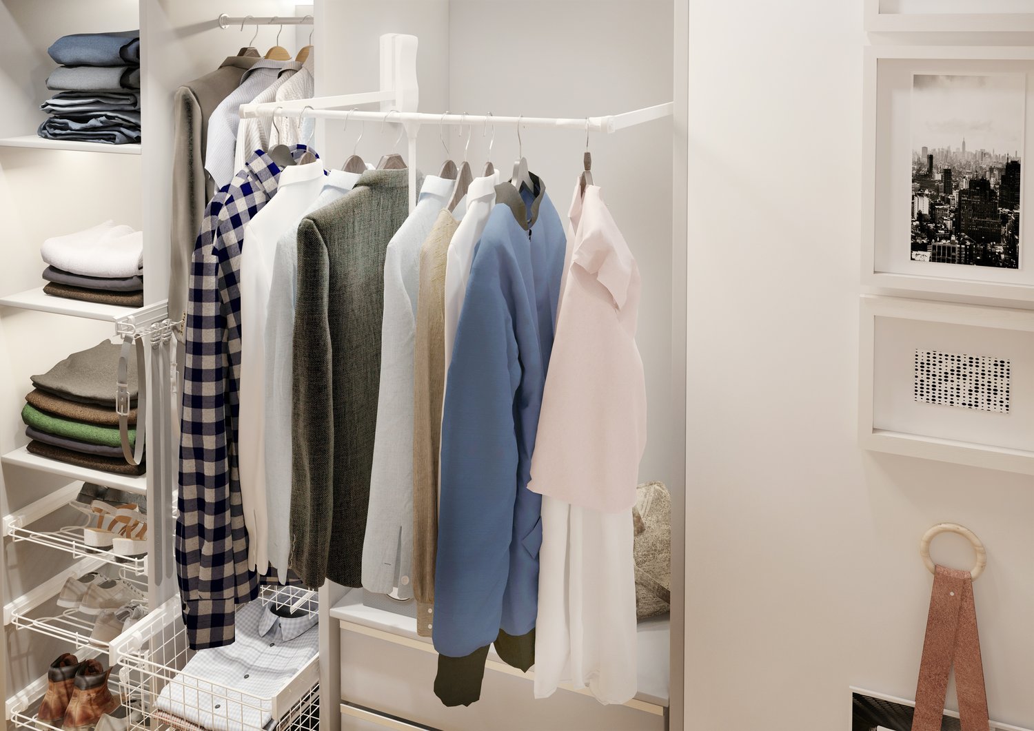 نگهداری و مراقبت از رگال دیواری- رگال محمدی